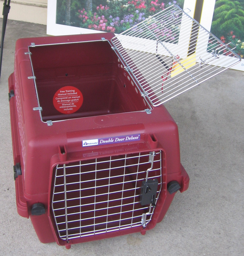 Bring Your Small Dogs Traveling with a sturdy pet carrier