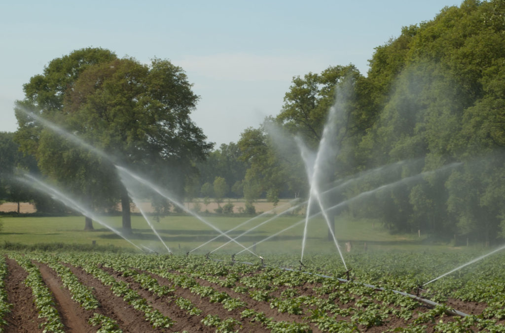 Irrigation_system_-Perrot-_in_action