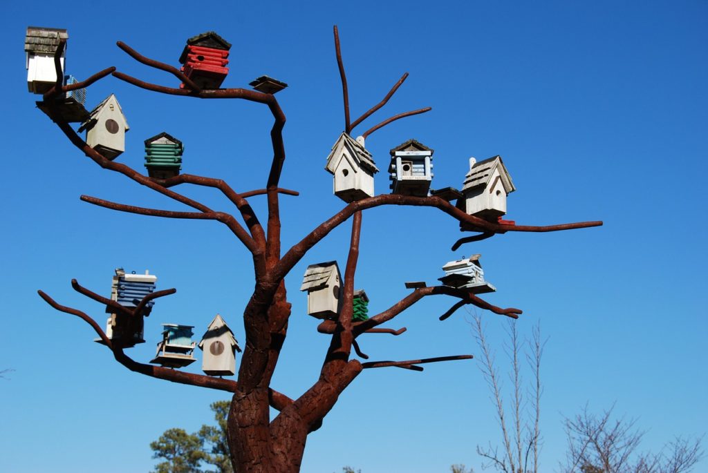 bird-houses-1046146_1280