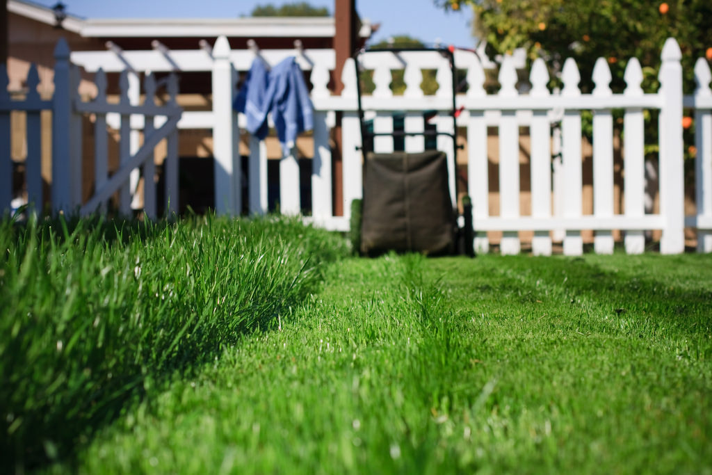These tips for a perfect lawn will transform yours